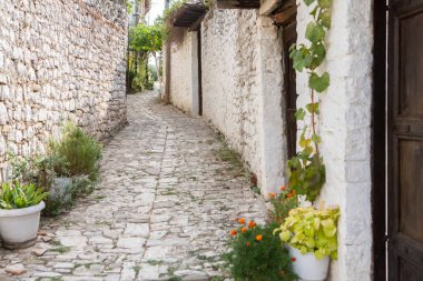 Arnavutluk 'un ünlü eski Berat kasabası. Osmanlı döneminden kalma evlerin olduğu Picturesque caddesi. Arnavutluk 'un orta kesiminde güzel manzara.
