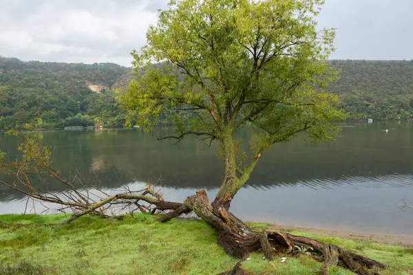 Moldova Cumhuriyeti, Avrupa 'daki Nistru nehrinin kıyılarında güzel doğa manzarası. Moldova köyünün fotoğrafı.