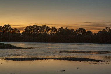 Moldova Cumhuriyeti 'nde yeşil çayırlar ve evcil hayvanlarla güzel bir kırsal alan. Yaz doğası ile kır hayatı.
