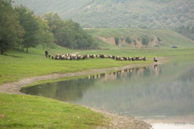 Moldova Cumhuriyeti, Avrupa 'daki Nistru nehrinin kıyılarında güzel doğa manzarası. Moldova köyünün fotoğrafı.