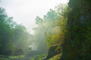 Moldova kırsalının resimli manzarası. Moldova Cumhuriyeti 'ndeki Idyllic Kırsal Arazi. Avrupa 'da Rolling Hills ve Farmland.