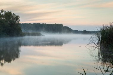 Moldova Cumhuriyeti kırsal arazisi. Ülkenin yeşil doğası..