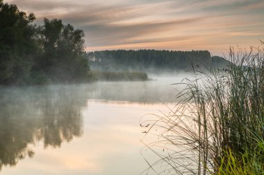 Moldova Cumhuriyeti kırsal arazisi. Ülkenin yeşil doğası..