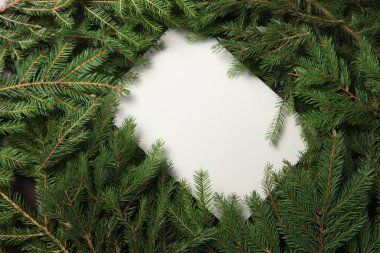 2025 yılının geçmişi. Yeni yılın teması beyaz yüzey ve köknar dalları. Tebrik kartı için tasarım.