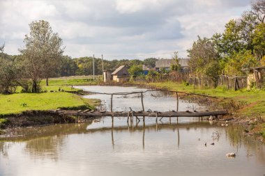 Moldova Cumhuriyeti 'nden güzel bir manzara. Avrupa 'nın yeşil doğası. Kırsal ekolojik turizm.