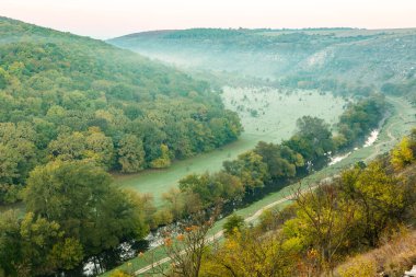 Moldova Cumhuriyeti 'nden güzel bir manzara. Avrupa 'nın yeşil doğası. Kırsal ekolojik turizm.