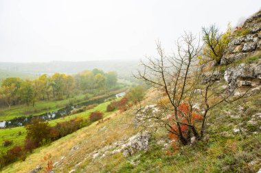 Moldova Cumhuriyeti 'nden güzel bir manzara. Avrupa 'nın yeşil doğası. Kırsal ekolojik turizm.