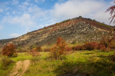 Moldova Cumhuriyeti 'nden güzel bir manzara. Avrupa 'nın yeşil doğası. Kırsal ekolojik turizm.