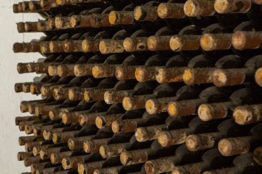 Cricova yeraltı şaraphanesine özel bir gezi. En büyük şarap mahzenlerinden biri ve etkileyici şarap koleksiyonuyla turistlerin ilgi odağı..