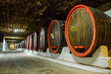 Cricova yeraltı şaraphanesine özel bir gezi. En büyük şarap mahzenlerinden biri ve etkileyici şarap koleksiyonuyla turistlerin ilgi odağı..