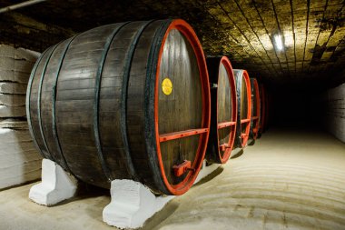 Cricova yeraltı şaraphanesine özel bir gezi. En büyük şarap mahzenlerinden biri ve etkileyici şarap koleksiyonuyla turistlerin ilgi odağı..