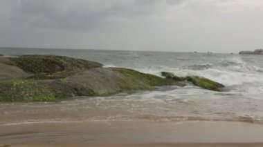 Sri Lanka 'da Hint Okyanusu kıyısında bir video. Sahil sakin dalgalarla dolu.
