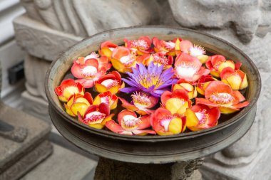 Gangaramaya is one of the oldest Buddhist temples in Colombo. Located on the Beira Lake, it was completed in the late 19th century