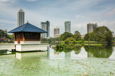 Fotoğraf, Sri Lanka adasının başkenti Colombo şehrinin güzel bir manzarasına sahiptir.