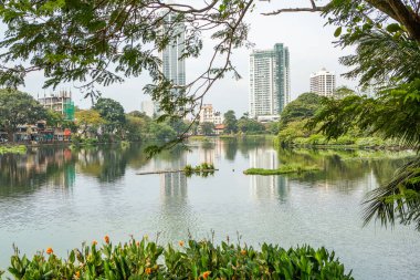 Fotoğraf, Sri Lanka adasının başkenti Colombo şehrinin güzel bir manzarasına sahiptir.