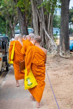 Fotoğraf, Sri Lanka adasının başkenti Colombo şehrinin güzel bir manzarasına sahiptir.
