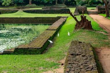 Sigirya, Sri Lanka 'da bulunan antik bir kaya kalesidir. UNESCO Dünya Mirası Bölgesi ve Sri Lanka 'nın gezginler için en ikonik simgelerinden biri..