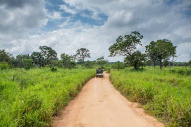 Sri Lanka 'daki Yala Ulusal Parkı' ndan vahşi doğa manzarası. Asya 'ya seyahat.