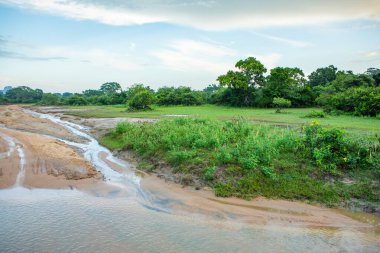 Sri Lanka 'daki Yala Ulusal Parkı' ndan vahşi doğa manzarası. Asya 'ya seyahat.