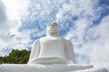 Sri Lanka Adası 'nın merkezindeki Kandy şehrinin fotoğrafı. Asya 'ya seyahat et.