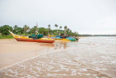 Hint Okyanusu sahilinde sörf tahtaları. Sri Lanka 'da sörf.