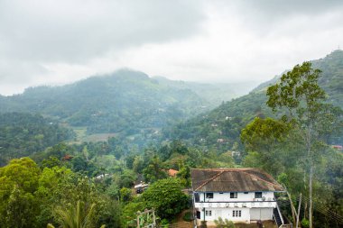 Sri Lanka 'nın çok güzel doğası, Hint okyanusunun incisi olarak da bilinir. Asya 'da seyahat