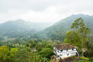 Sri Lanka 'nın çok güzel doğası, Hint okyanusunun incisi olarak da bilinir. Asya 'da seyahat