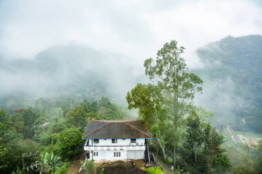Sri Lanka 'nın çok güzel doğası, Hint okyanusunun incisi olarak da bilinir. Asya 'da seyahat