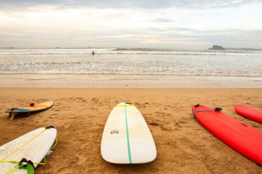 Hint Okyanusu sahilinde sörf tahtaları. Sri Lanka 'da sörf.