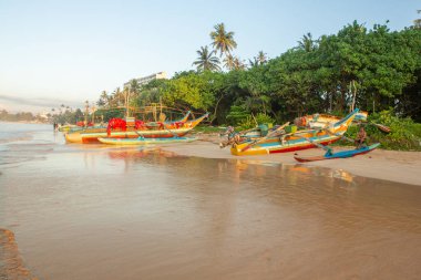 Hint Okyanusu sahilinde sörf tahtaları. Sri Lanka 'da sörf.