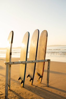 Hint Okyanusu sahilinde sörf tahtaları. Sri Lanka 'da sörf.