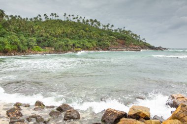 Cennet ya da Sri Lanka adasındaki cennet gibi bir sahil. Hint Okyanusu 'nun egzotik kıyıları