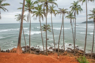 Sri Lanka 'da Hindistan okyanusunun Weligama sahilinde sörf cenneti ve altın plajı. Hem rahatlama hem de macera arayan gezginler için favori bir hedef..