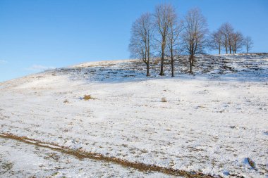 Moldova Cumhuriyeti 'nin soğuk kış mevsiminde güzel doğa manzarası.