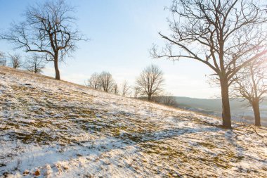 Moldova Cumhuriyeti 'nin soğuk kış mevsiminde güzel doğa manzarası.