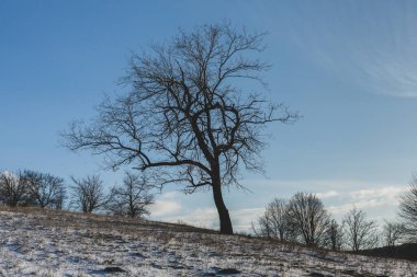 Moldova Cumhuriyeti 'nin soğuk kış mevsiminde güzel doğa manzarası.