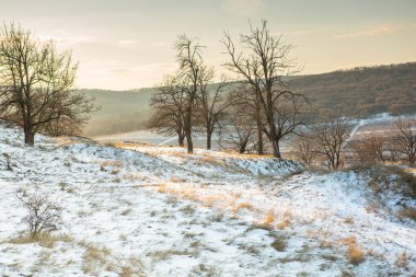 Moldova Cumhuriyeti 'nin soğuk kış mevsiminde güzel doğa manzarası.