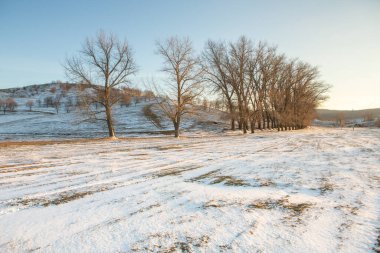 Moldova Cumhuriyeti 'nin soğuk kış mevsiminde güzel doğa manzarası.