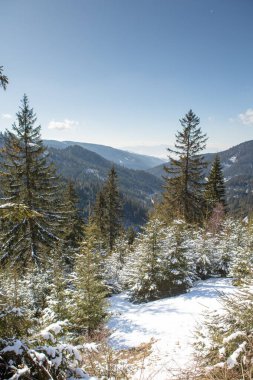Romanya 'nın Karpat Dağları' ndaki kış doğasıyla çok güzel bir manzara..