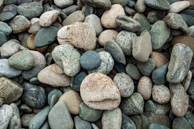  Dekorasyon için taştan bir arka plan. Taş çakıl taşı dokusu. Çakıl arkaplanı.