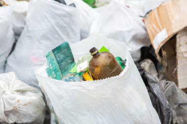 Çöp torbaları ve plastik şişeler çöpte. Çevre kirliliği. Gönüllü, parkta çöp topluyor..