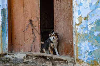 Moldova Cumhuriyeti 'nin güzel kırsal manzarası. Baharda köy hayatı.