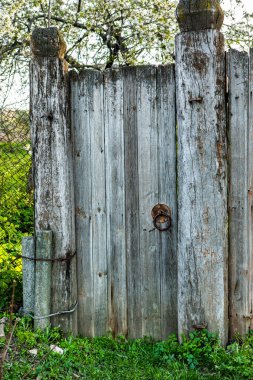 Moldova Cumhuriyeti 'nin güzel kırsal manzarası. Baharda köy hayatı.