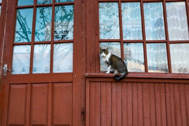 Moldova Cumhuriyeti 'nin güzel kırsal manzarası. Baharda köy hayatı.