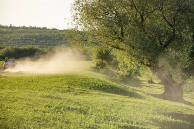 Moldova Cumhuriyeti 'ndeki Raut Nehri ile güzel bir manzara. Doğu Avrupa 'da kırsal doğa.