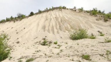 Yazın Moldova Cumhuriyeti 'nden güzel doğa manzarası. Doğu Avrupa 'da köy hayatı