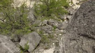Yazın Moldova Cumhuriyeti 'nden güzel doğa manzarası. Doğu Avrupa 'da köy hayatı