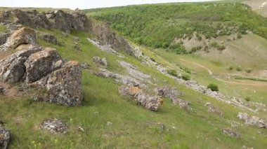 Yazın Moldova Cumhuriyeti 'nden güzel doğa manzarası. Doğu Avrupa 'da köy hayatı