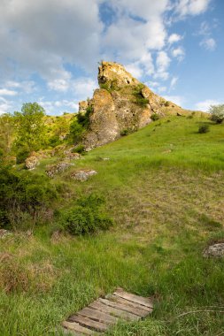 Moldova Cumhuriyeti Köy ve Tarlaları ile Yaz Manzarası. Moldova 'da Pastoral Manzara ve Huzurlu Doğa Sahnesi.