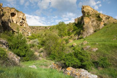 Moldova Cumhuriyeti Köy ve Tarlaları ile Yaz Manzarası. Moldova 'da Pastoral Manzara ve Huzurlu Doğa Sahnesi.